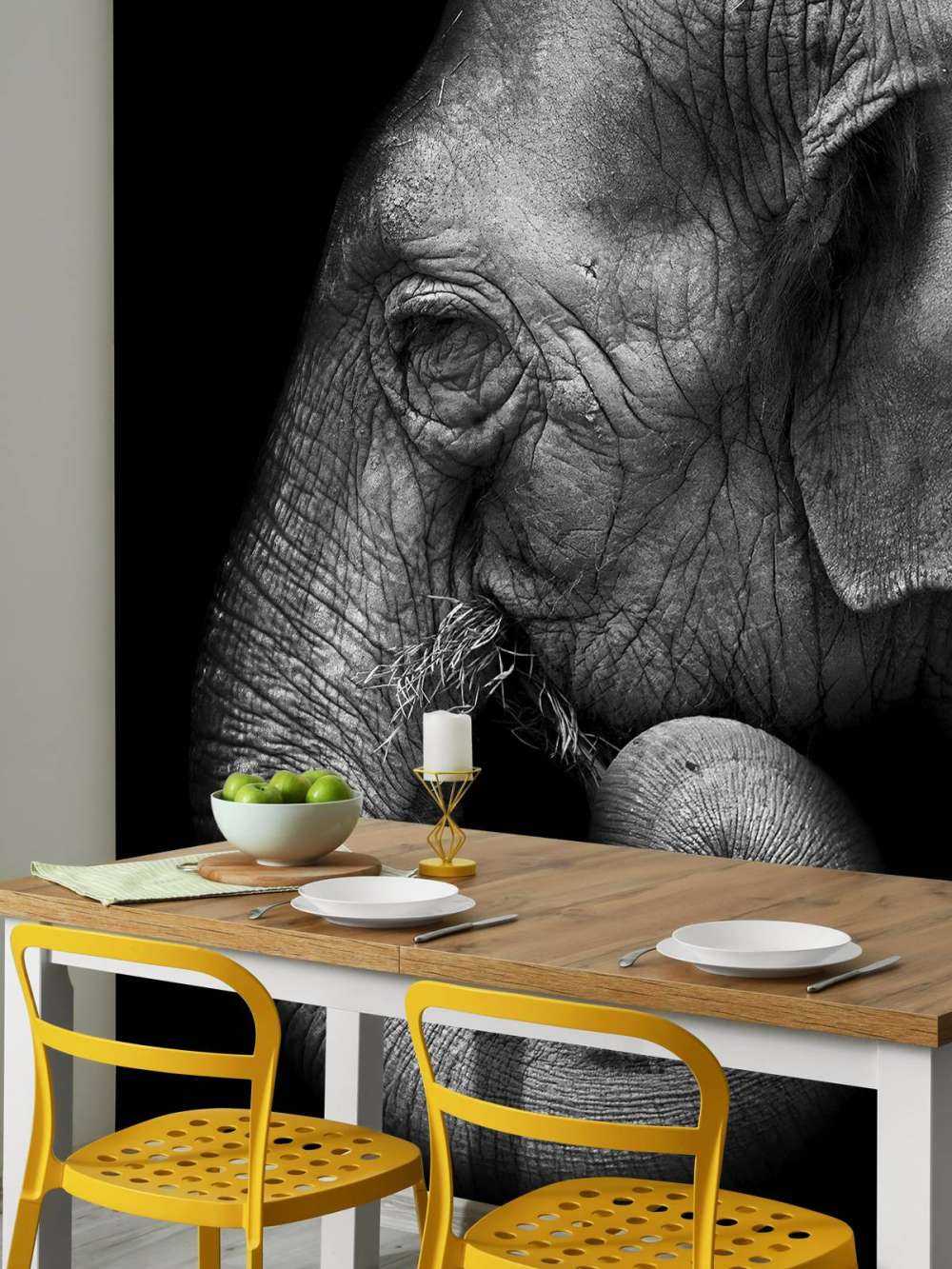 Retrato de elefante