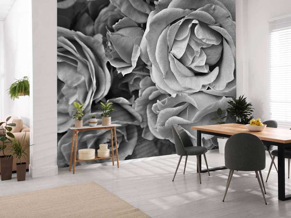Rosas blancas y negras