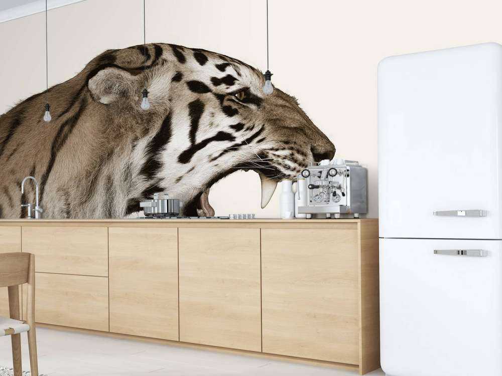 Tigre rugiente blanco hueso