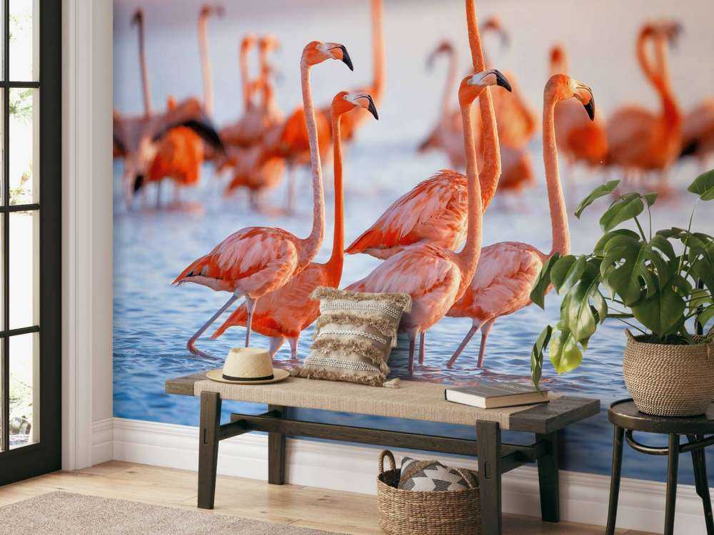 Flamencos que miran fijamente