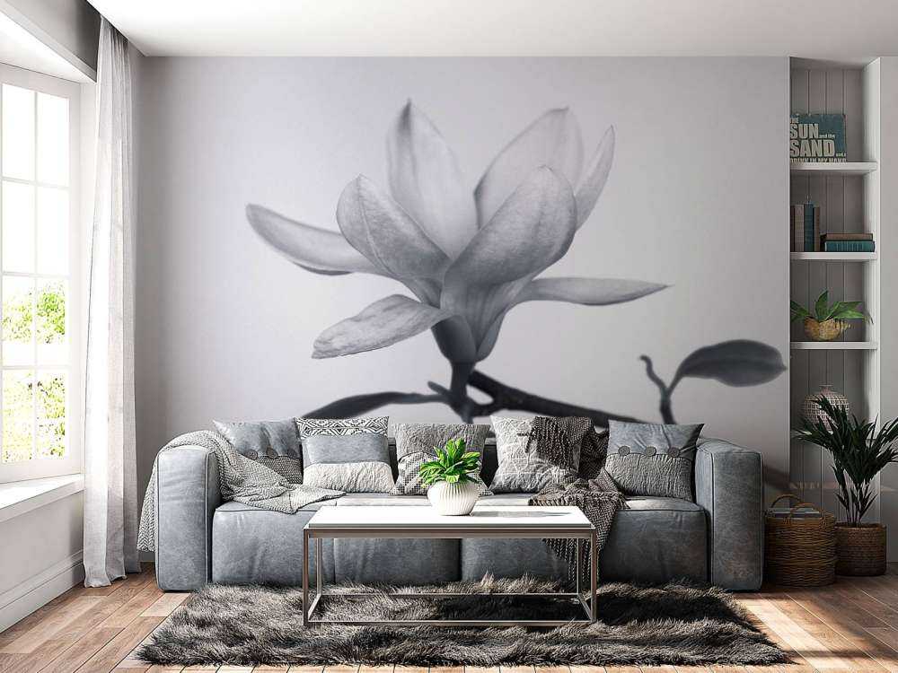 Hermosa magnolia