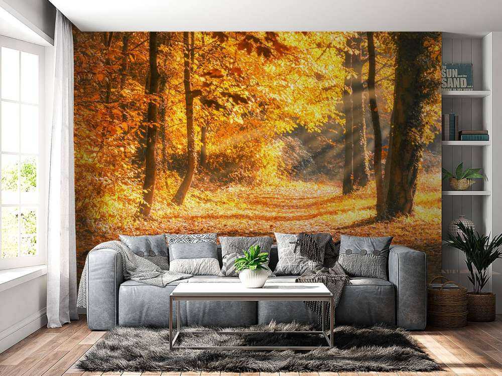 Panorama en otoño