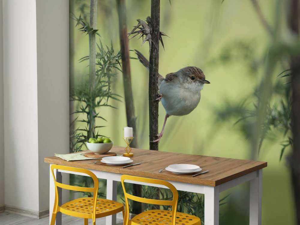 Pájaro en una rama