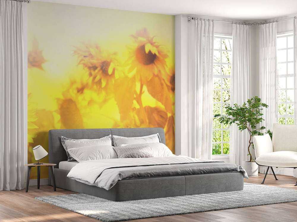 Panorama de los girasoles