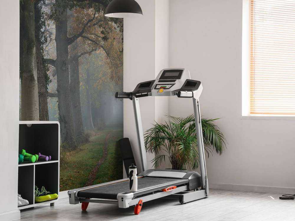 Carril con árboles en la niebla