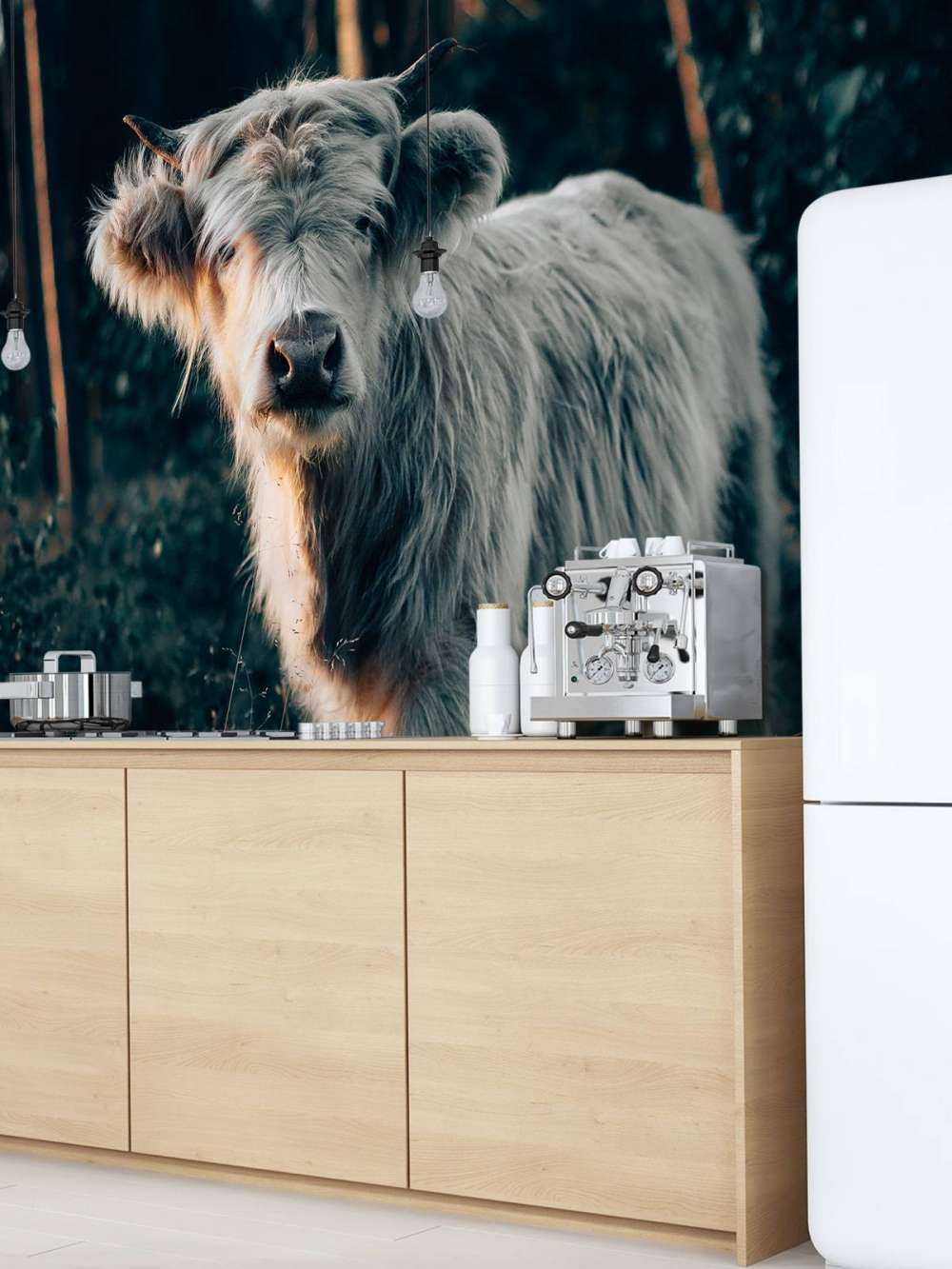 Cachorro de Highlander escocés