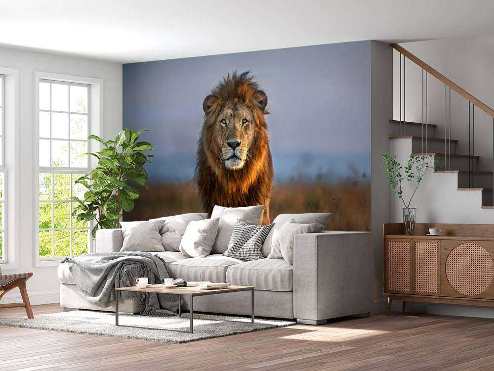 Lion Close Up