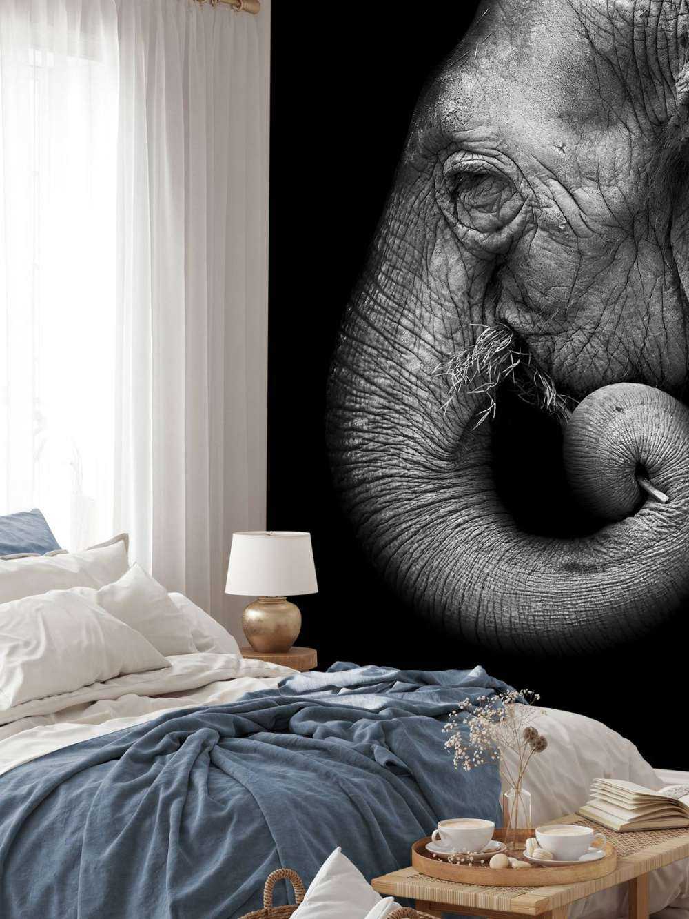 Retrato de elefante