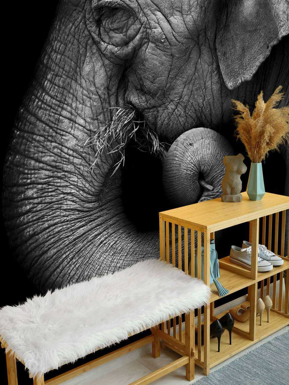 Retrato de elefante