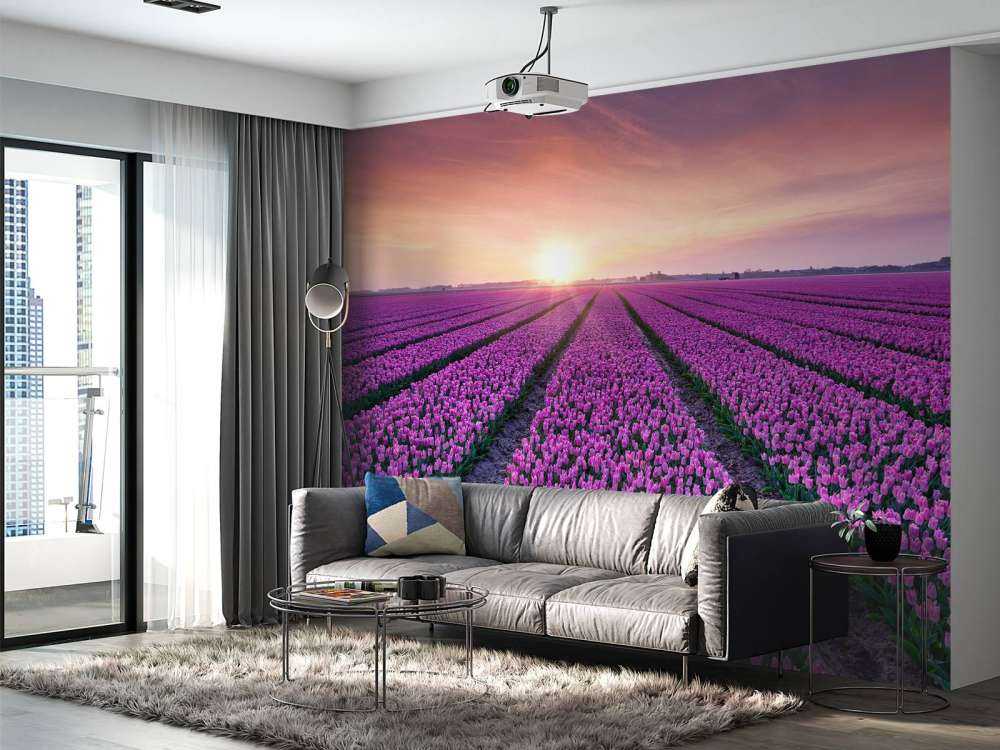 Tulipfield al amanecer
