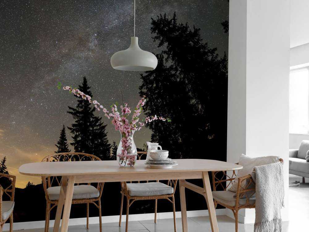 Cielo estrellado en la noche