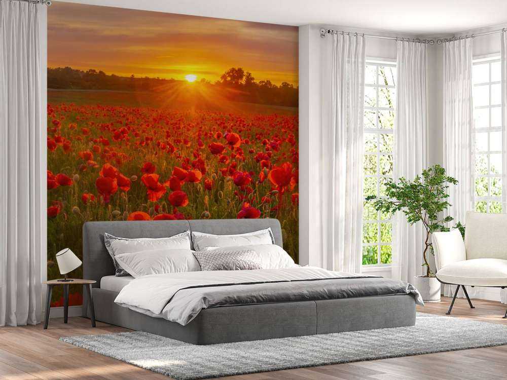 Campo de amapolas en flor