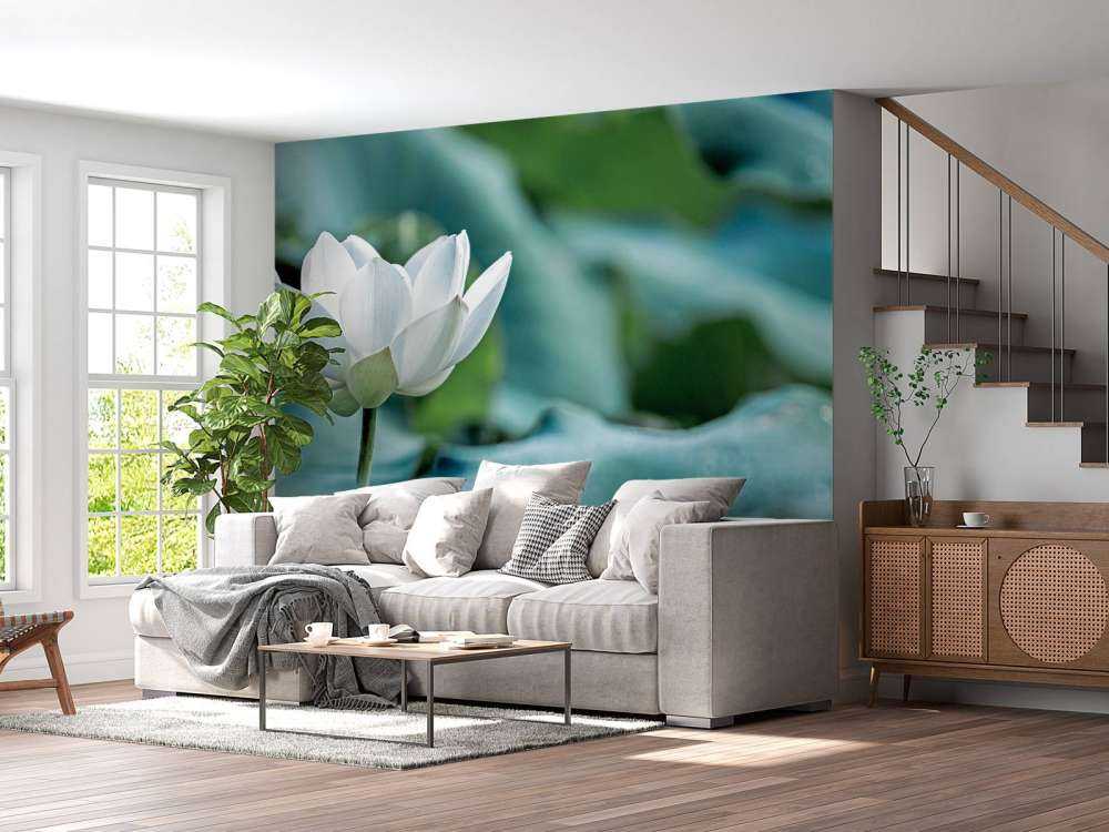 Flor de loto blanca