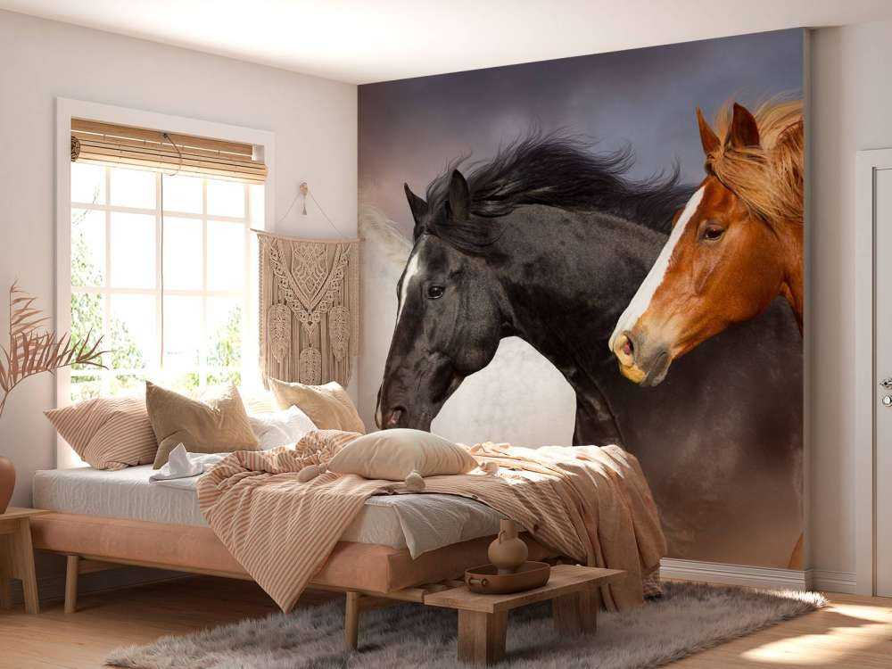 Manada de caballos