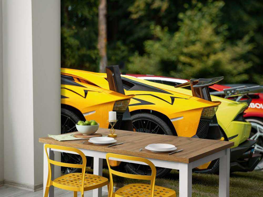Colección de supercoches en la naturaleza