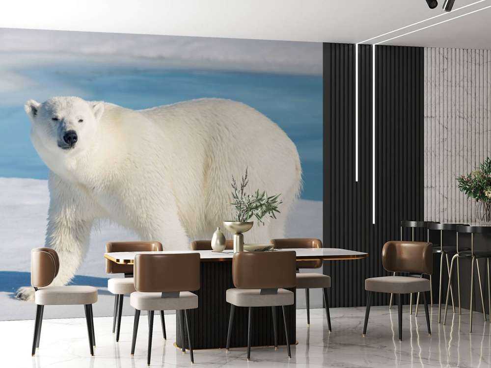 Oso polar