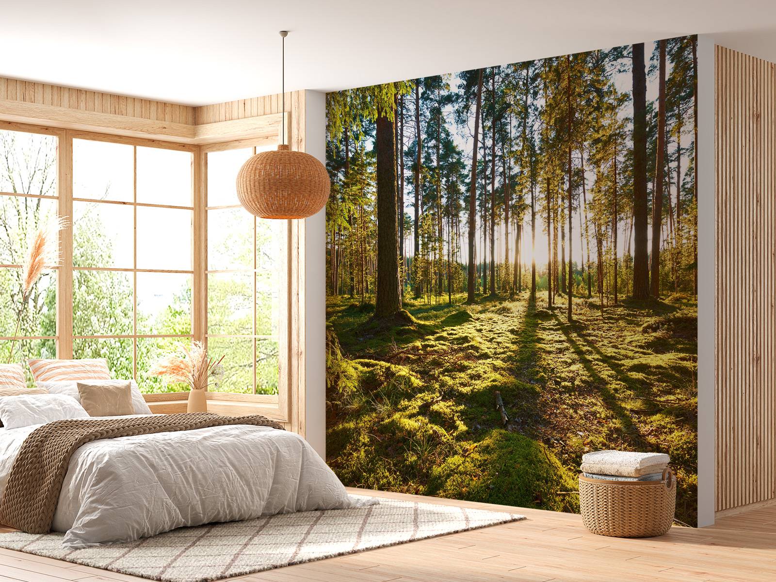 Papel Pintado - Bosque de pinos, image size:1600x1200