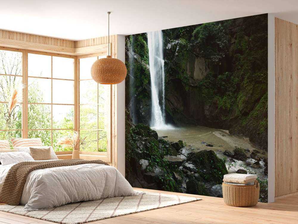 Cascada en un bosque profundo