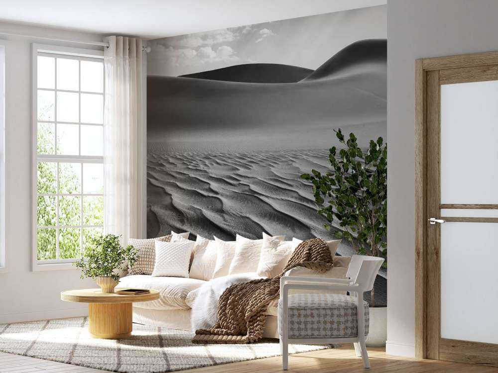 Las dunas vivas, Namibia I