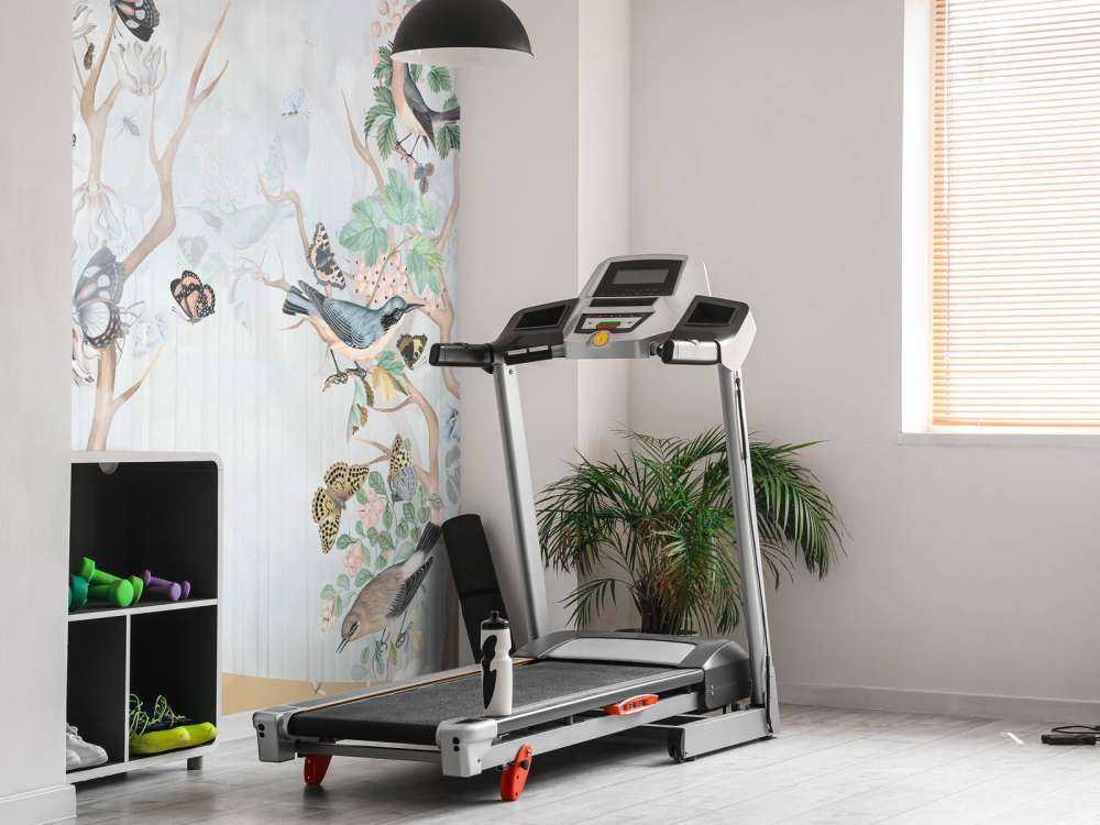 Paraíso de Aves y Mariposas