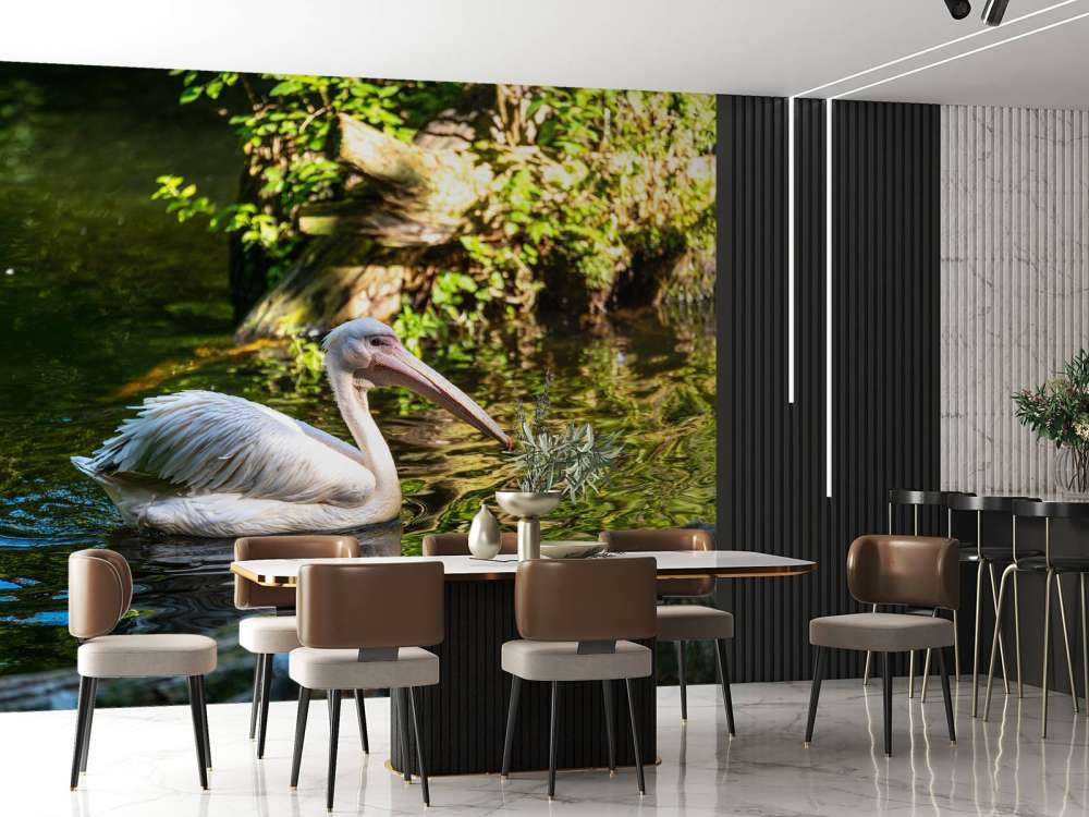 Pelican