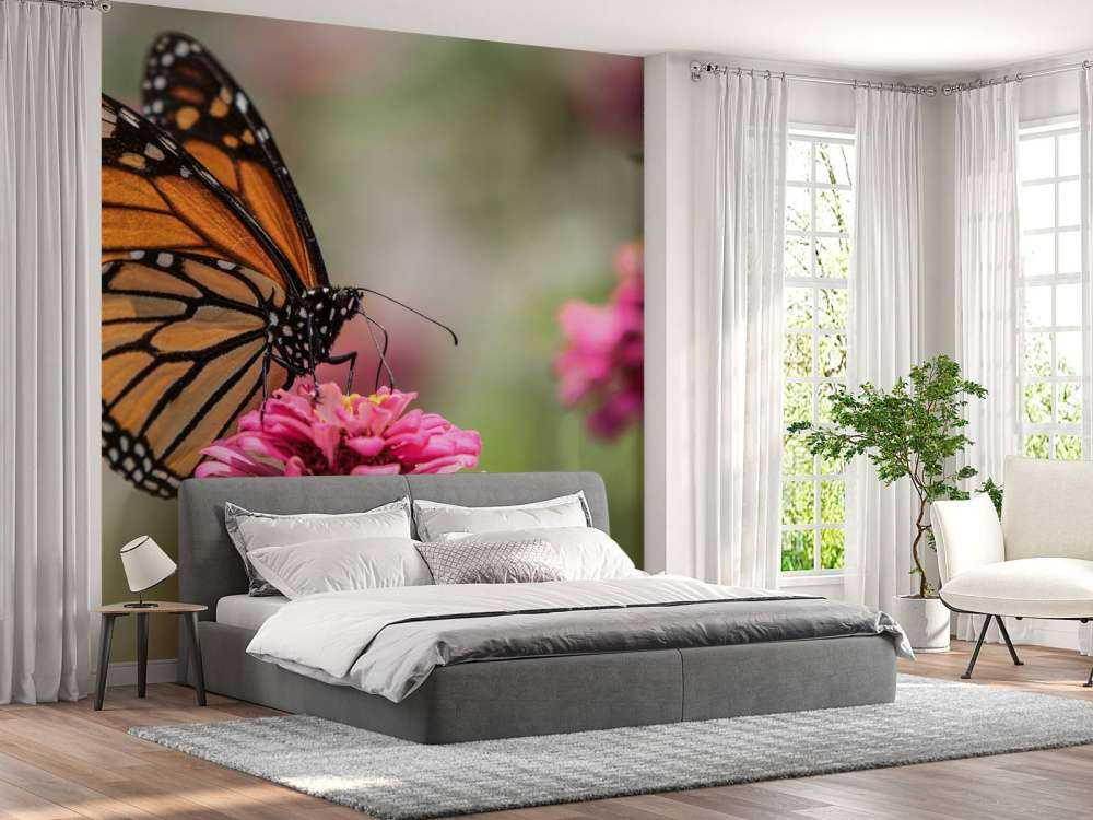 Una mariposa monarca