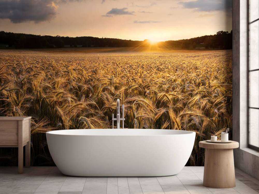 Campos de oro
