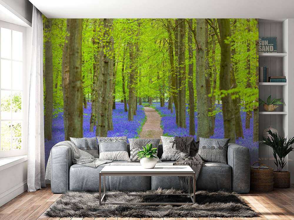 Sendero Bluebell