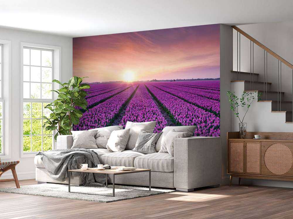 Tulipfield al amanecer