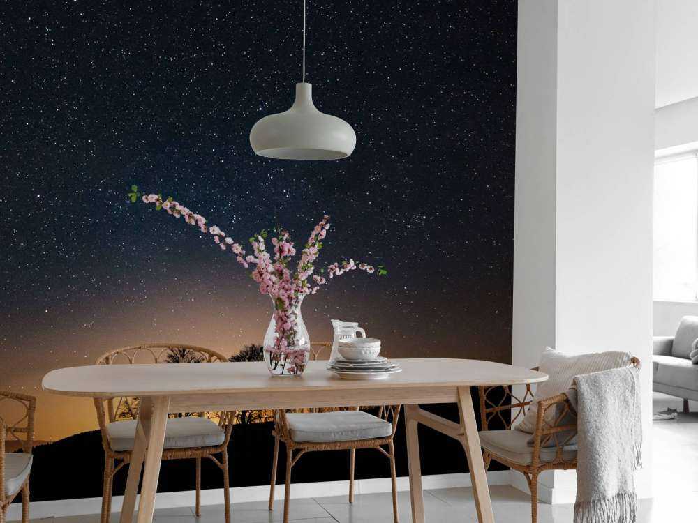 Puesta de sol con estrellas