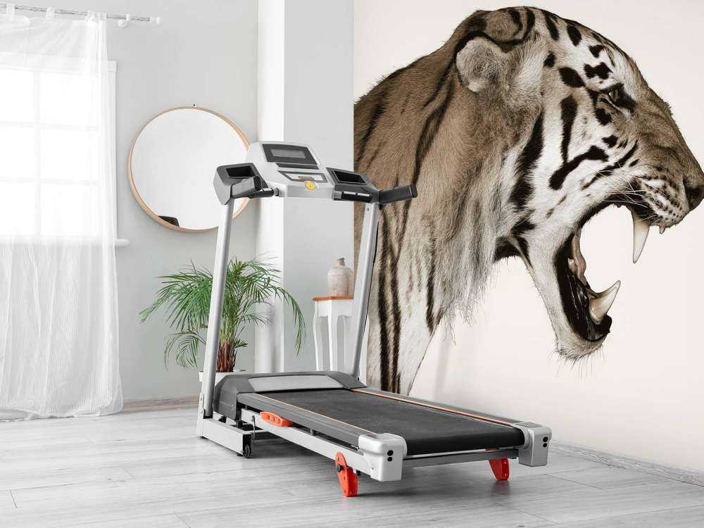 Tigre rugiente blanco hueso
