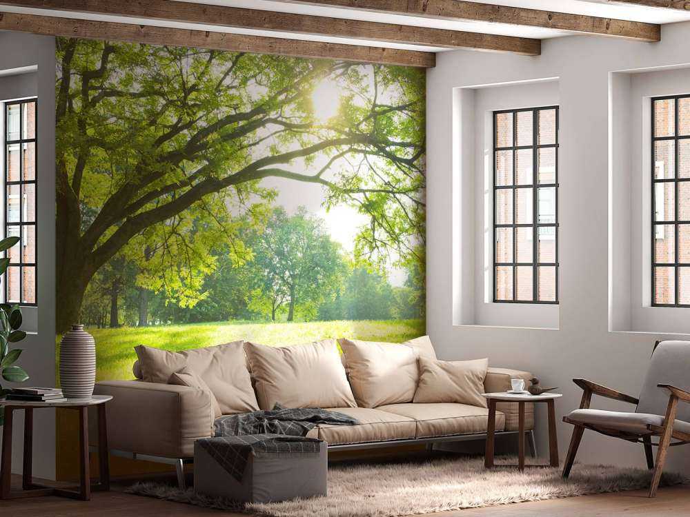 Hermoso árbol con hierba verde