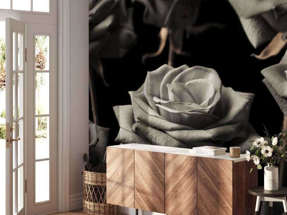 Rosas sepia