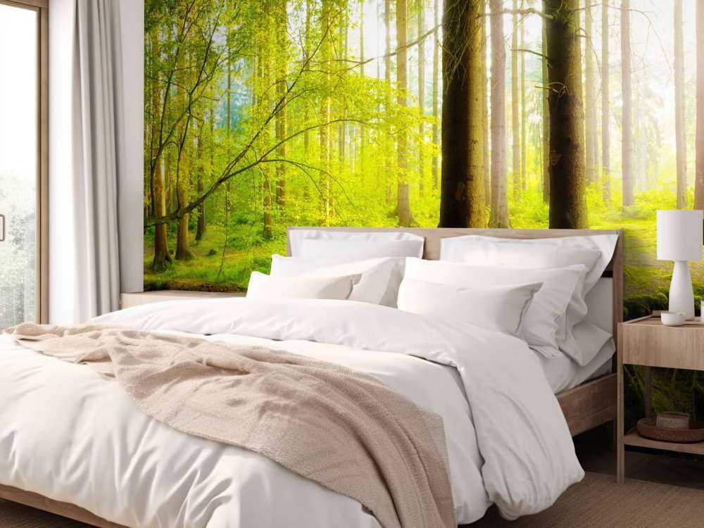 Bosque verde y fresco