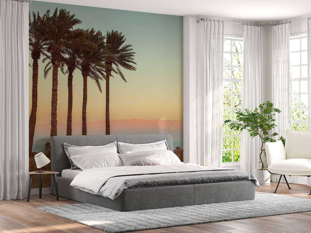 Palmeras al atardecer