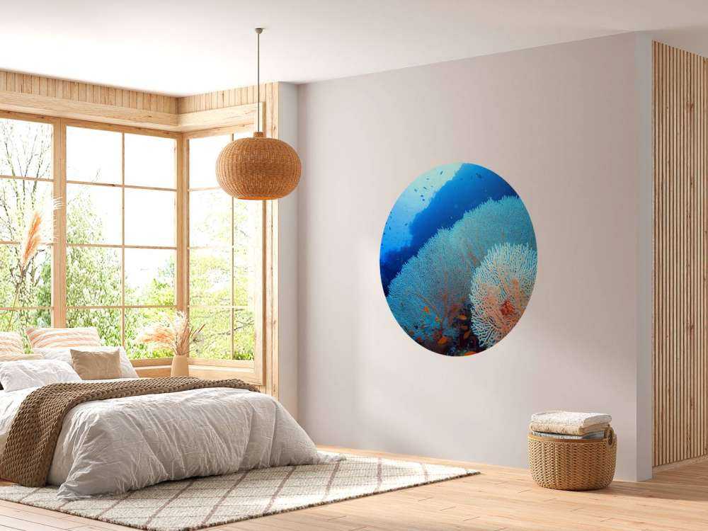 Coral con peces