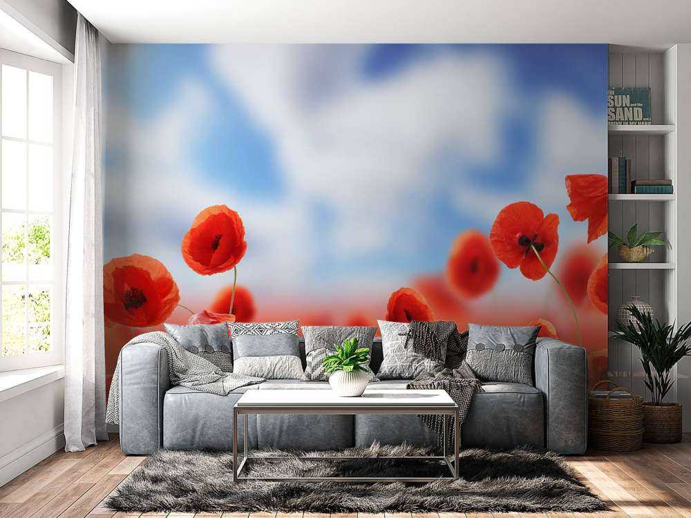 Cielo azul y amapolas rojas