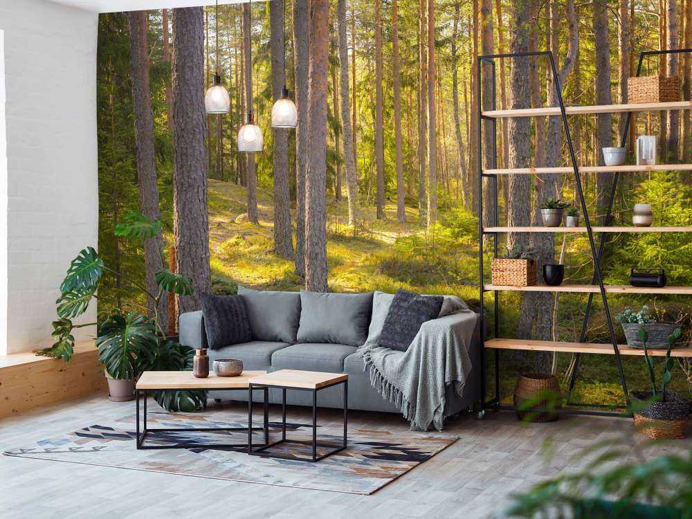 Bosque de verano