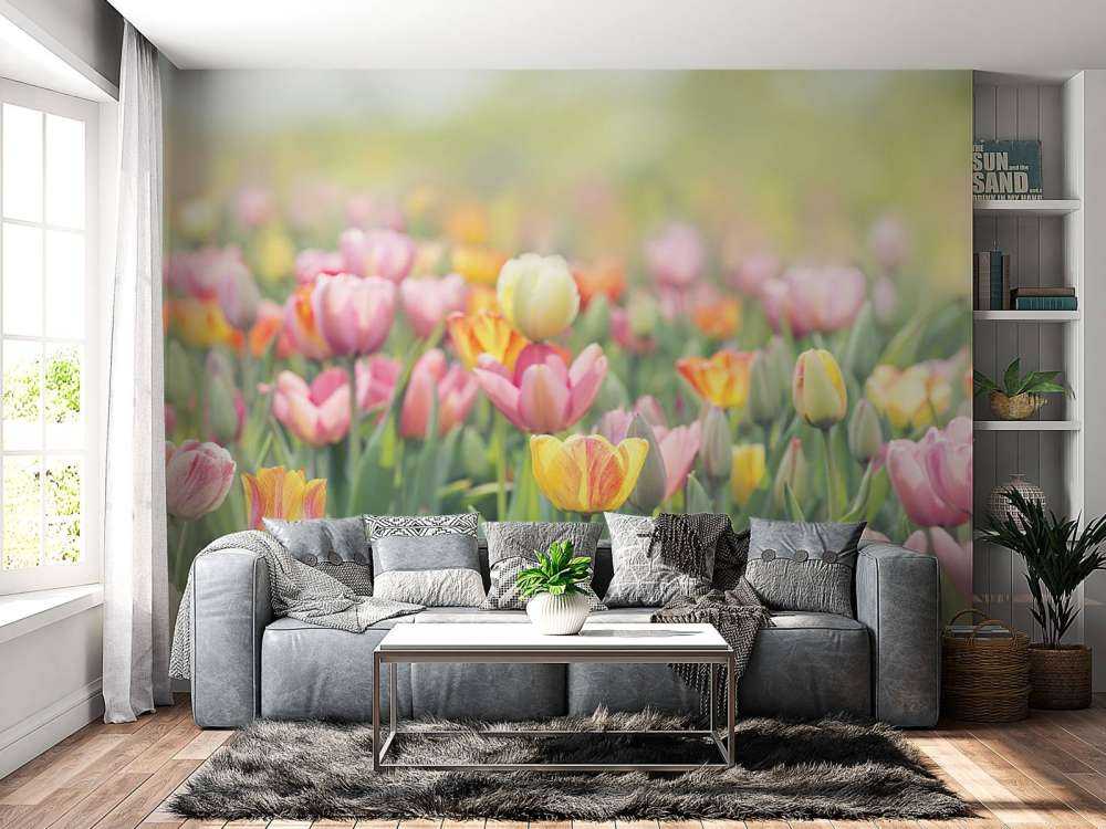 Tulipanes de colores