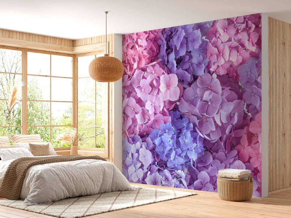 Hortensias de colores
