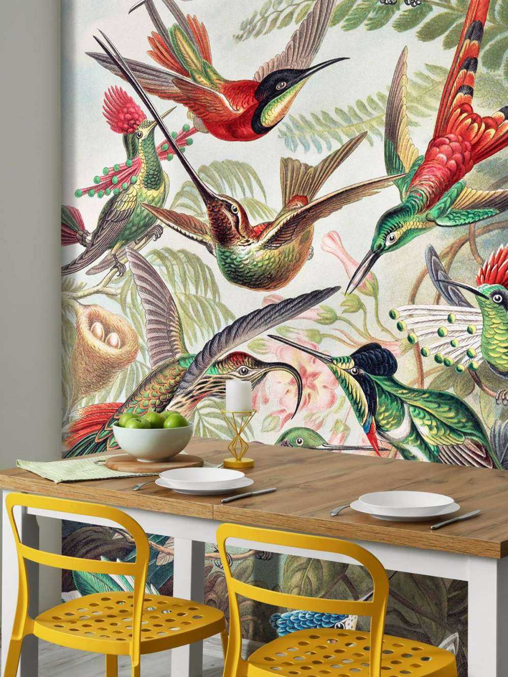 Hummingbirds