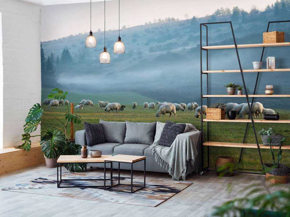 Rebaño de ovejas con paisaje de niebla