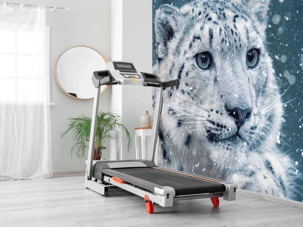 Leopardo de las nieves