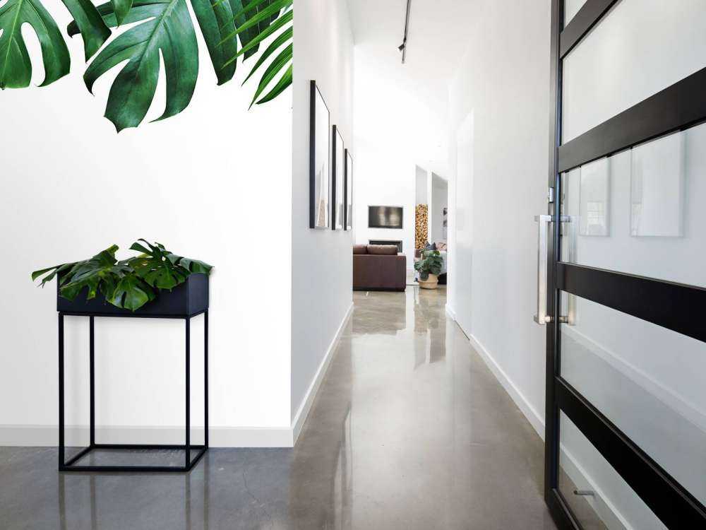 Plantas tropicales