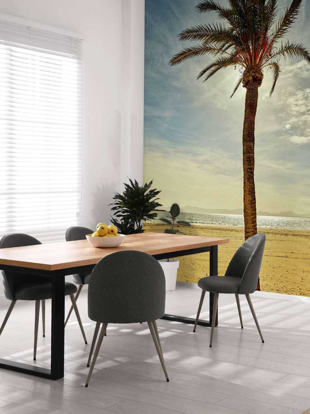 Palmera al sol