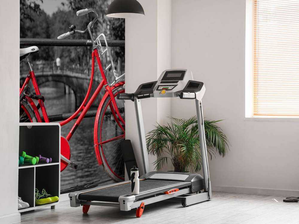 Bicicleta roja en el puente