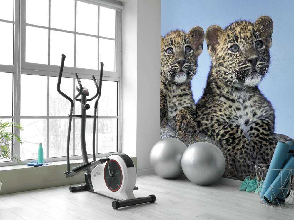 Pequeños leopardos