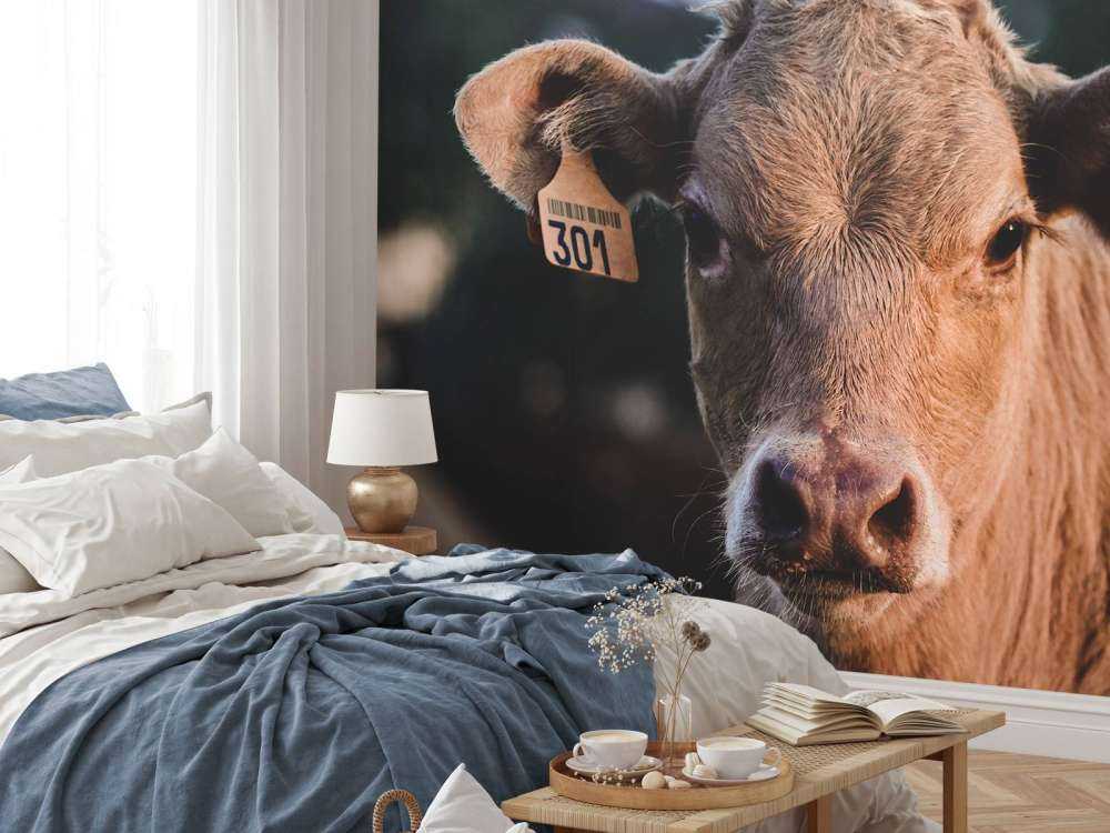 Primer plano de una vaca