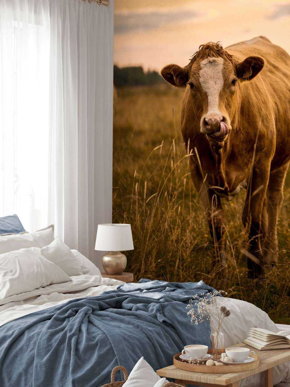 Vaca con lengua en la nariz