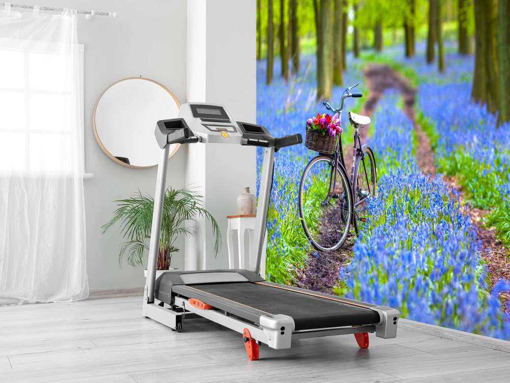 Bicicleta en el bosque